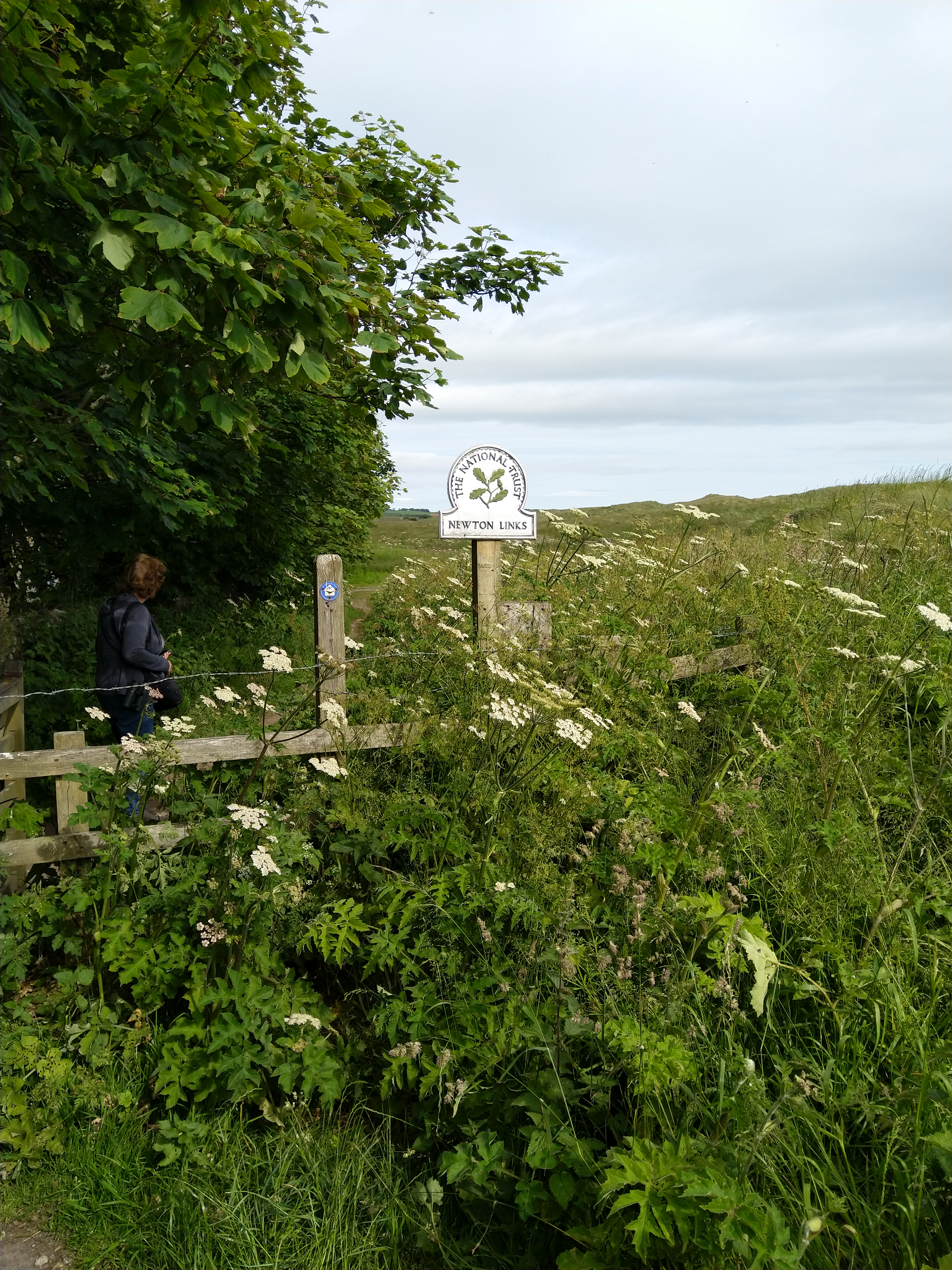(Engeland). Foto van Jikke Lont.